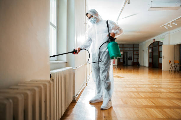 Real Estate Pest Inspections in Dana Point, CA